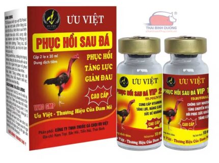 Tổng hợp 5 loại thuốc bổ cho gà chọi, gà đòn (gà nòi)