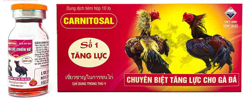 Tổng hợp 5 loại thuốc bổ cho gà chọi