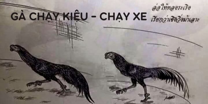 ga-chay-kieu