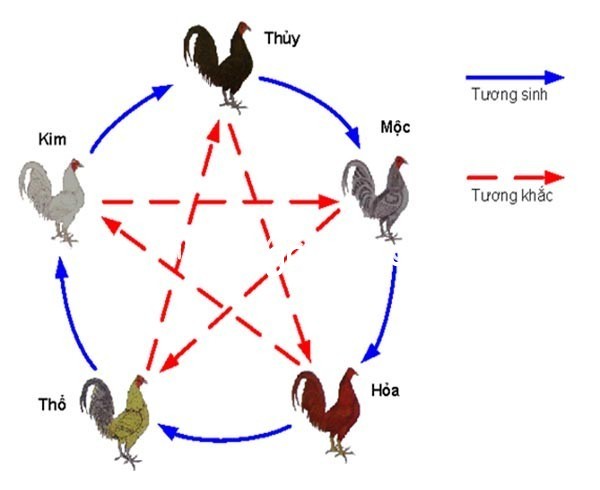 Cách đá gà trên mạng luôn thắng – Mới nhất hôm nay